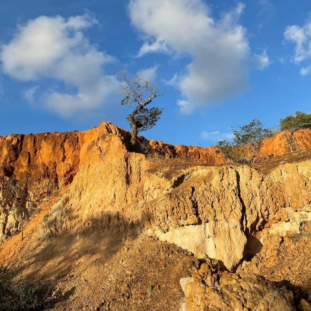 4 GG Tsavo Est, Amboseli e Tsavo Ovest